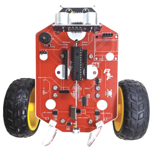 coding-robotic-ladybug-min